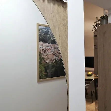 아파트 Transylvania Skyline 브라쇼브